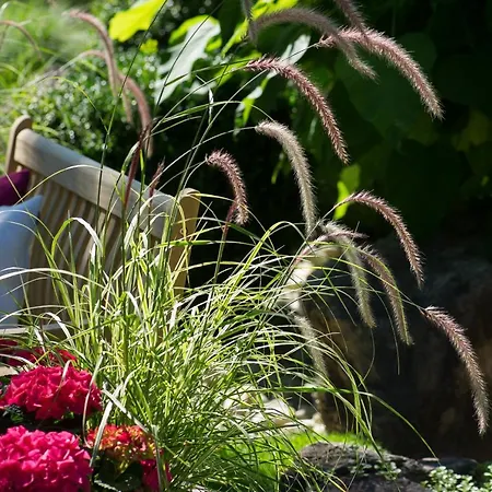 Kurpension Riedenburg Hotel